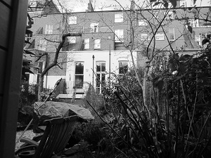 Spick & Span window clean garden flat in Earl's Court