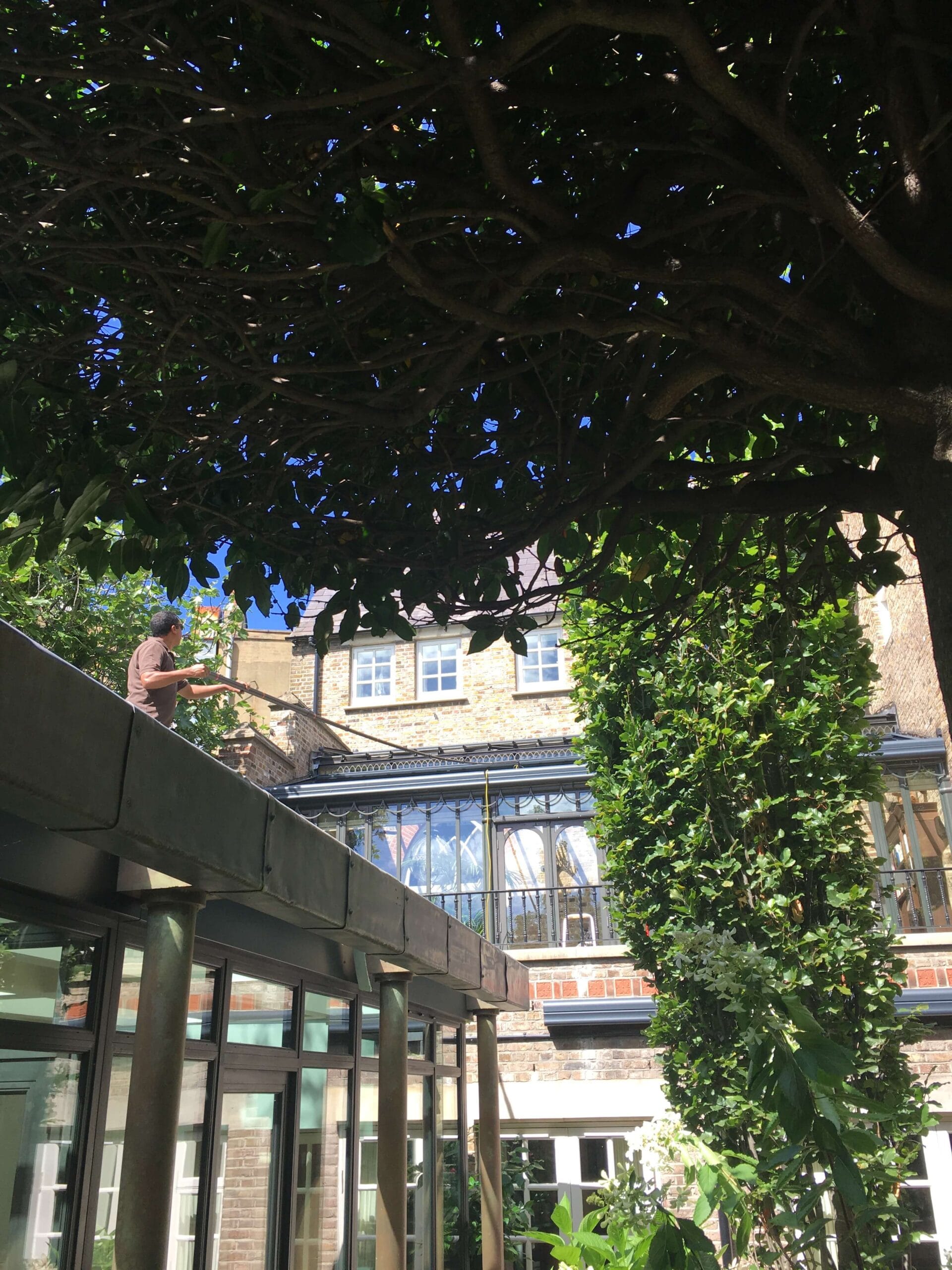 Conservatory roof cleaning in Chelsea